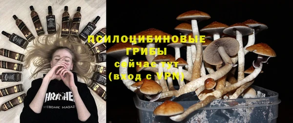 трава Приозерск