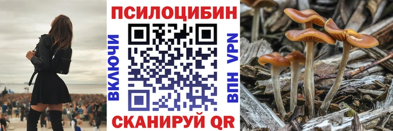 Псилоцибиновые грибы ЛСД закладка площадка клад Нерюнгри