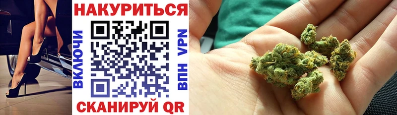 Каннабис сатива  Нерюнгри 